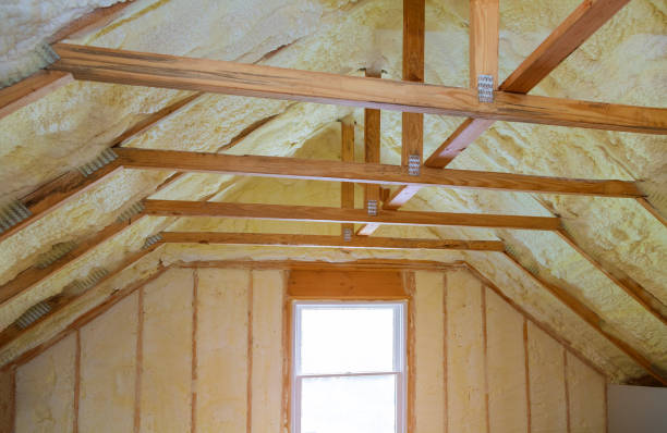 Best Insulation Replacement Services  in Centreville, MD