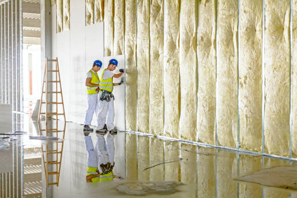 Insulation Contractors for Homes in Centreville, MD